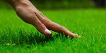 themenwelt rasenpflege 1000x500